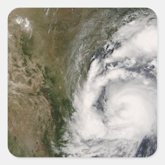 トロピカルストームドリー スクエアシール (正面)