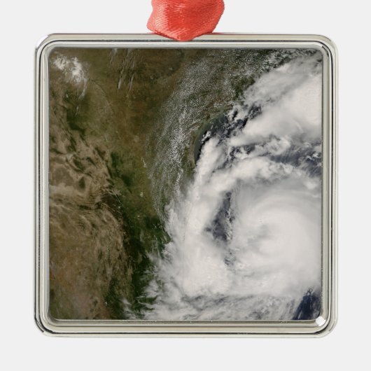 トロピカルストームドリー メタルオーナメント (正面)