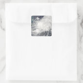 トロピカルストームハンナ スクエアシール (バッグ)