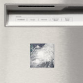 トロピカルストームハンナ マグネット (インサイチュ (食洗機))