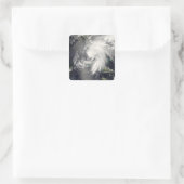 トロピカルストームフェ2 スクエアシール (バッグ)