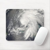 トロピカルストームフェ2 マウスパッド (マウス)