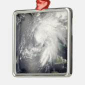 トロピカルストームフェ2 メタルオーナメント (左)