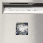 トロピカルストームフェ4 マグネット (インサイチュ (食洗機))