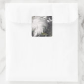 トロピカルストームフェ5 スクエアシール (バッグ)