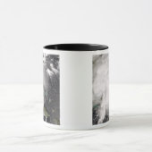 トロピカルストームフェ5 マグカップ (中央)