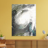 トロピカルストームフェ キャンバスプリント (インサイチュ (リビング))