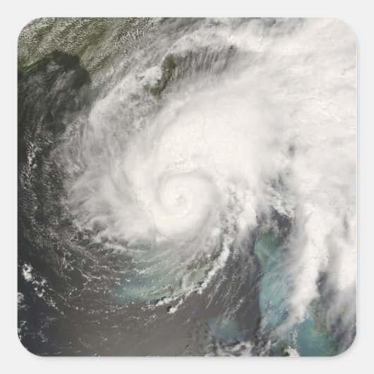 トロピカルストームフェ スクエアシール (正面)