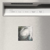 トロピカルストームフェ マグネット (インサイチュ (食洗機))