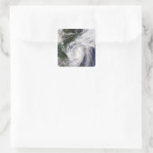 トロピカルストームメッカラ スクエアシール (バッグ)