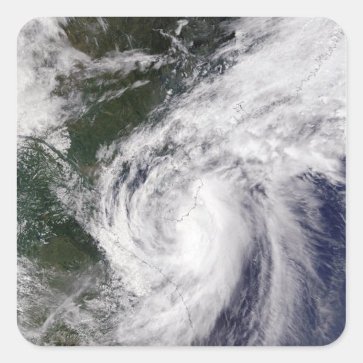 トロピカルストームメッカラ スクエアシール (正面)