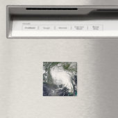 トロピカルストーム（5月） 3 マグネット (インサイチュ (食洗機))