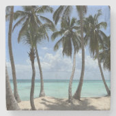 トロピカルストーンコースター ストーンコースター (正面)