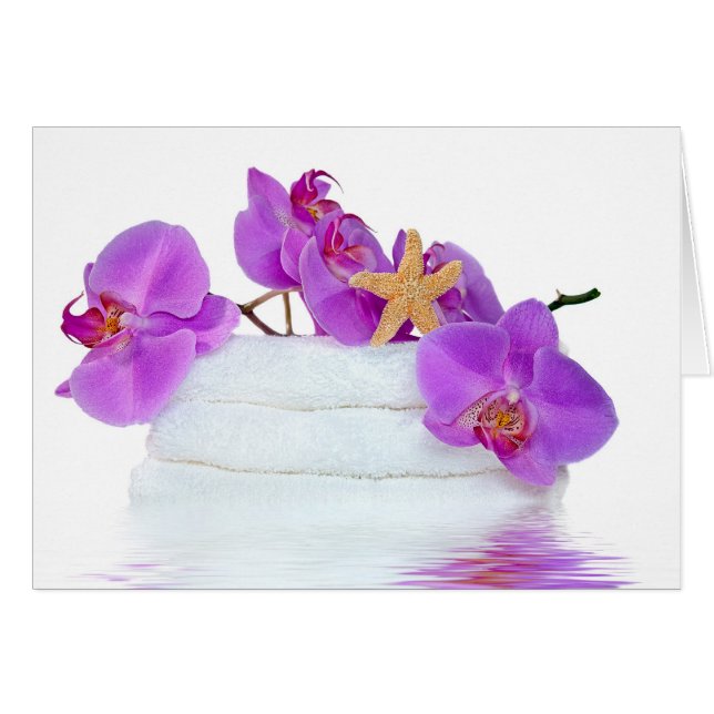 トロピカルタイムアウト (正面横)