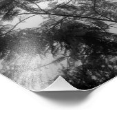 トロピカルツリーブラックとホワイトの霧 フォトプリント            (角)