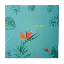 トロピカルティール（緑がかった色）ブルーグリーンパームモノグラムベリーズ