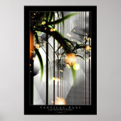 トロピカルデイズ ポスター (正面)