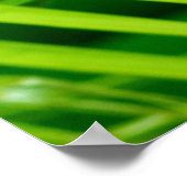 （トロピカルトワイル）ポスタープリント ポスター (角)