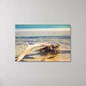 トロピカルドリフトウッドバイアホンダビーチ写真 キャンバスプリント (正面)