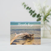 トロピカルドリフトウッドバイアホンダビーチ写真 ポストカード (スタンド正面)