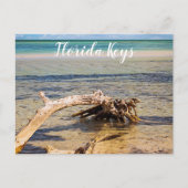 トロピカルドリフトウッドバイアホンダビーチ写真 ポストカード (正面)
