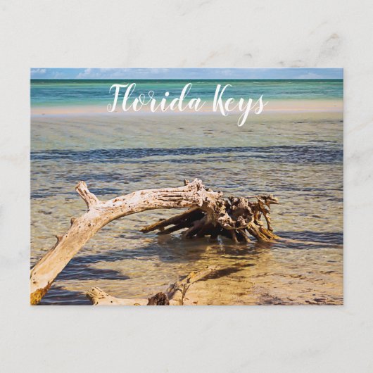 トロピカルドリフトウッドバイアホンダビーチ写真 ポストカード (正面)