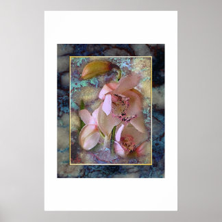 トロピカルドリーム ポスター