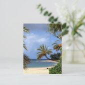 トロピカルノースショアビーチ，オアフ，ハワイ ポストカード (スタンド正面)