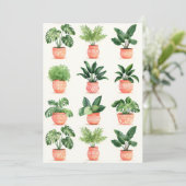 トロピカルハウスプランツ シーズンカード (スタンド正面)