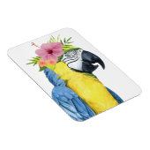 トロピカルハロー – オウム マグネット (右側)