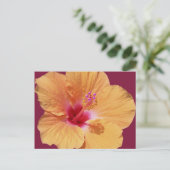 トロピカルハワイアンはがき ポストカード (スタンド正面)