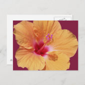 トロピカルハワイアンはがき ポストカード (正面/裏面)