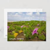 トロピカルハワイビーチ花 |カウアイ葉書 ポストカード (正面/裏面)