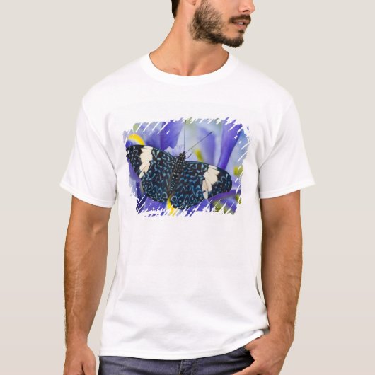 トロピカルバタフライ パープルアイリス Tシャツ (正面)