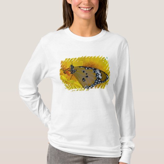 トロピカルバタフライ Tシャツ (正面)