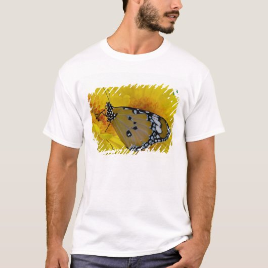 トロピカルバタフライ Tシャツ (正面)