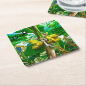 トロピカルバナナパームツリーセントオーガスティンフロリダ スクエアペーパーコースター (アングル)