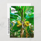 トロピカルバナナパームツリーセントオーガスティンフロリダ ポストカード (正面/裏面)