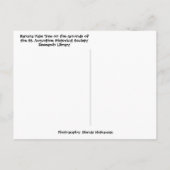 トロピカルバナナパームツリーセントオーガスティンフロリダ ポストカード (裏面)