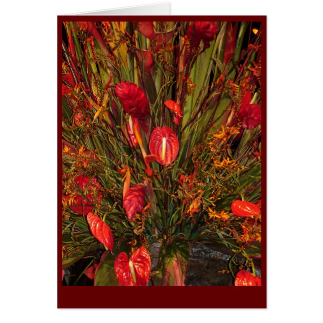 トロピカルバースト (正面)