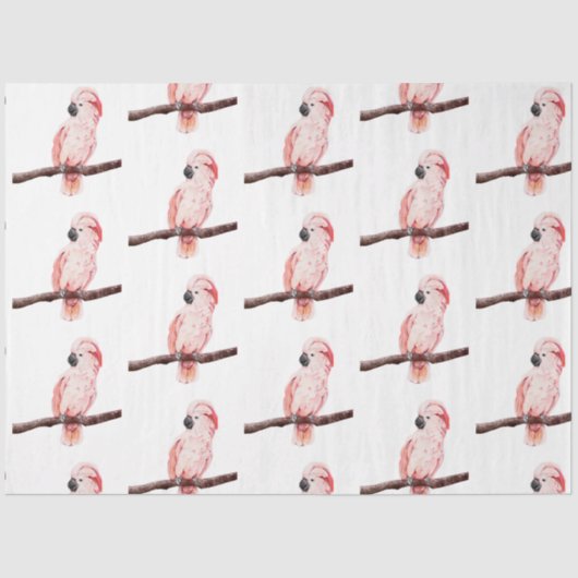 トロピカルバードシリーズ：コカトーデザイン2 薄葉紙 (正面)