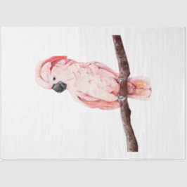 トロピカルバードシリーズ：コカトー 薄葉紙