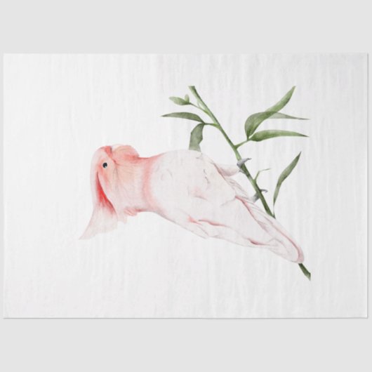 トロピカルバードシリーズ：ミッ専攻のチェル 薄葉紙 (正面)