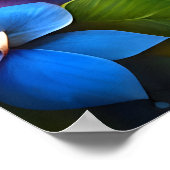 トロピカルパラダイスの可愛いジンジャーキットンファンタジー ポスター (角)