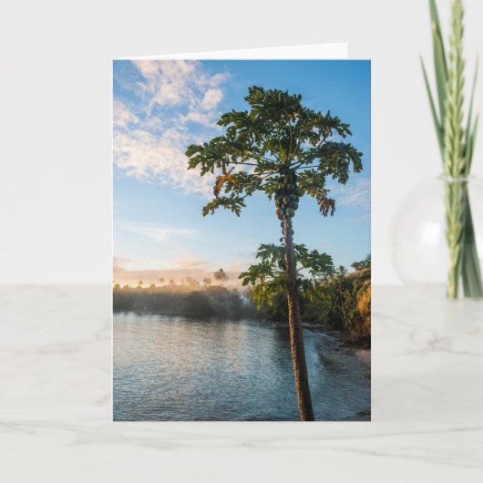 トロピカルパラダイスアットサンセットフィジー カード (正面)