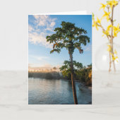 トロピカルパラダイスアットサンセットフィジー カード (黄色い花)