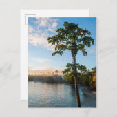 トロピカルパラダイスアットサンセットフィジー ポストカード (正面/裏面)