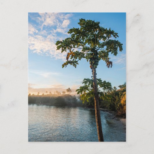 トロピカルパラダイスアットサンセットフィジー ポストカード (正面)