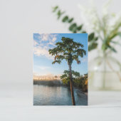 トロピカルパラダイスアットサンセットフィジー ポストカード (スタンド正面)