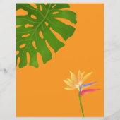 トロピカルパラダイスオレンジ空白の (裏面)